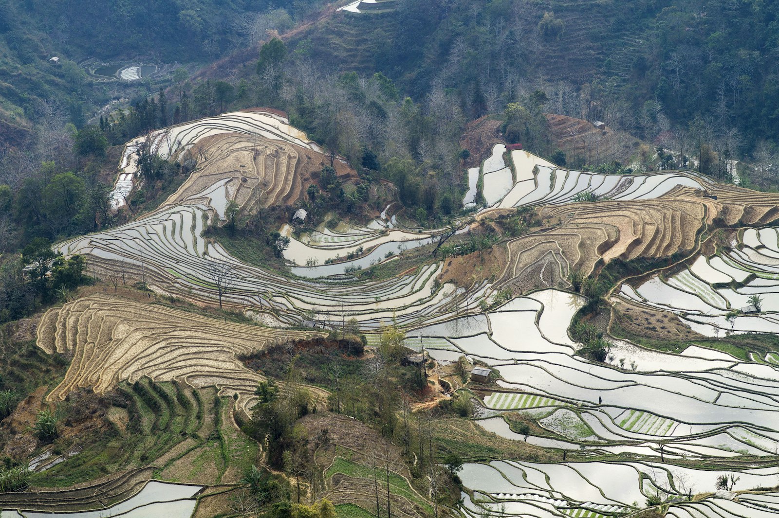 Yuanyang Rice Terraces